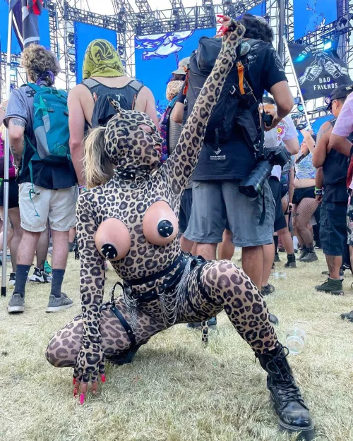 Nocturnal wonderland