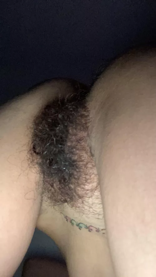 Okayyyy you can come in now