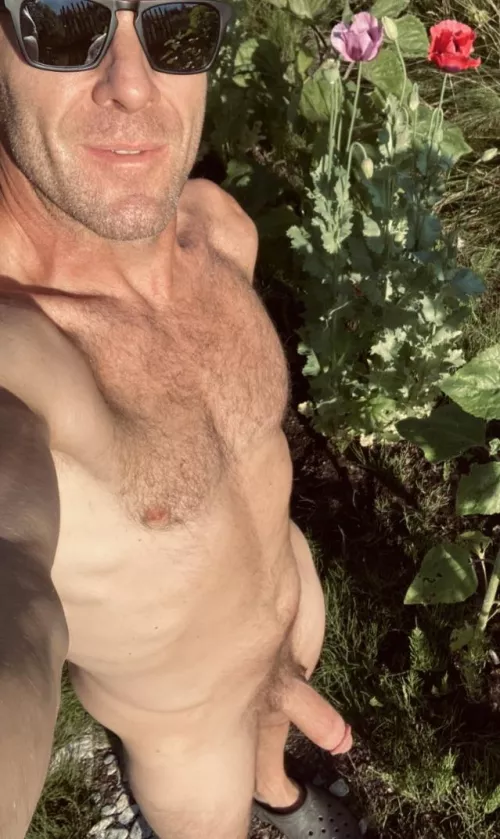 Poppies are almost tall as me!!