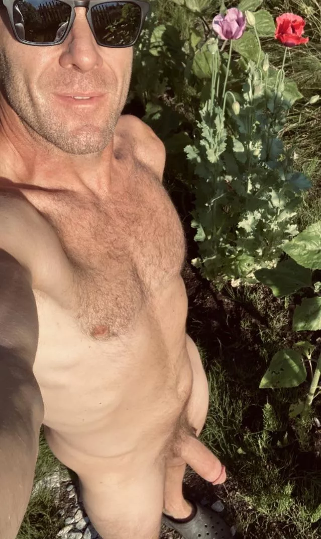 Poppies are almost tall as me!!