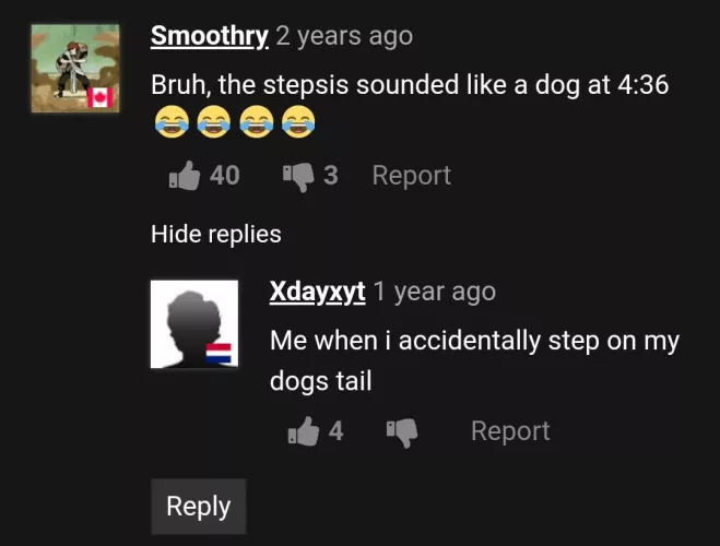 Someone let the dog out