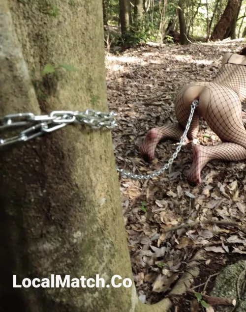 Stepping back from the stroll