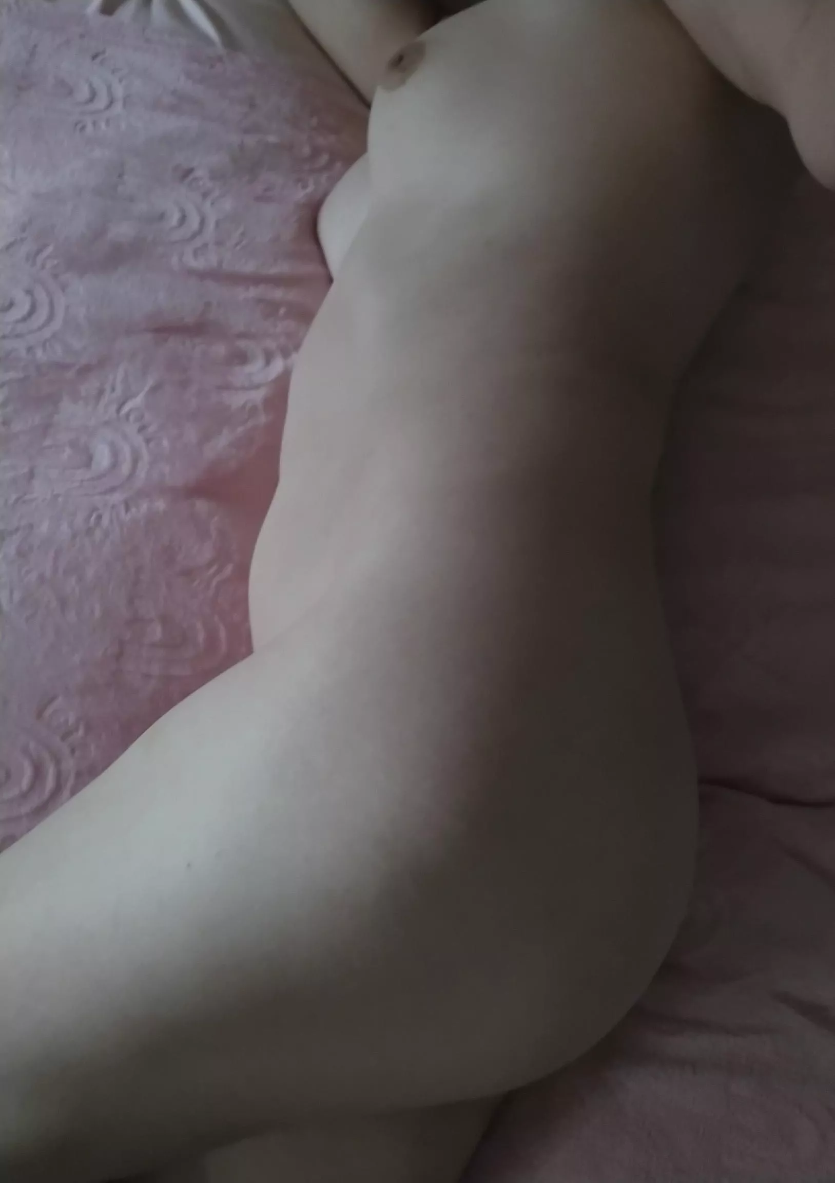 The morning light was so soft and happy today