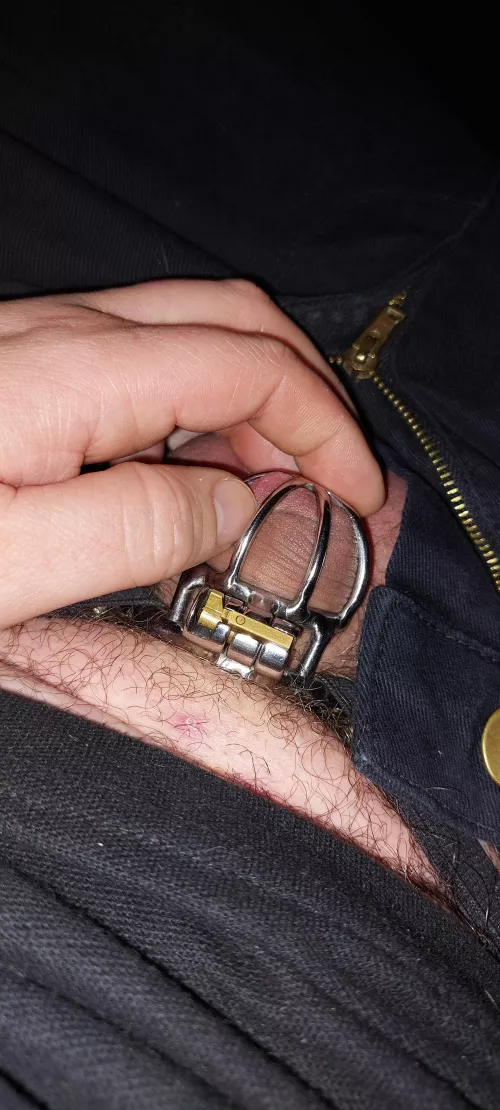 What would you do if you saw this ?