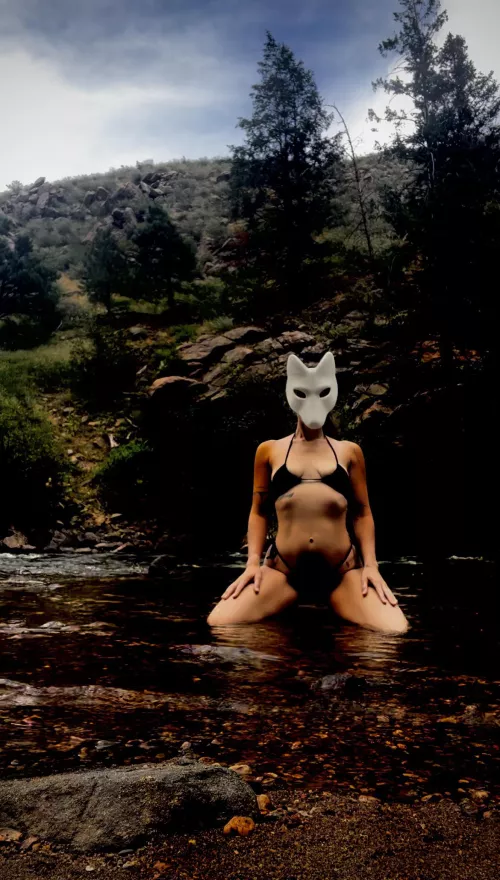 Where the Wild Things Are