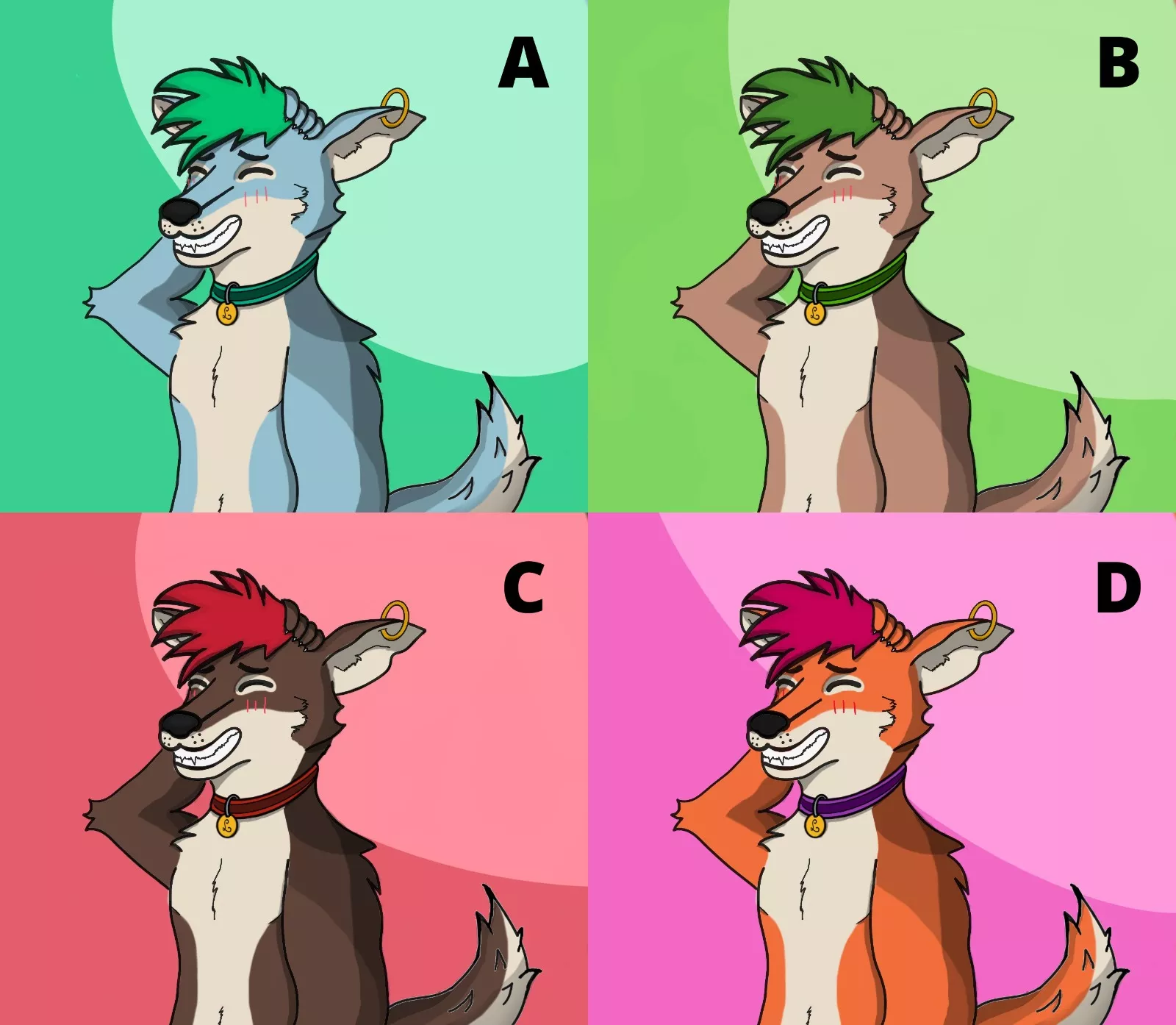 Which color is the best for Lucca?