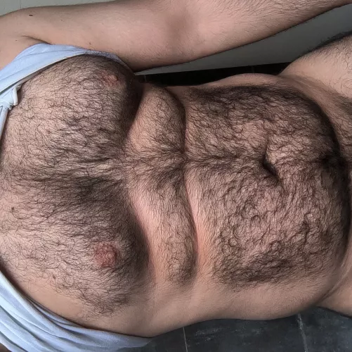 26 Hairy chub