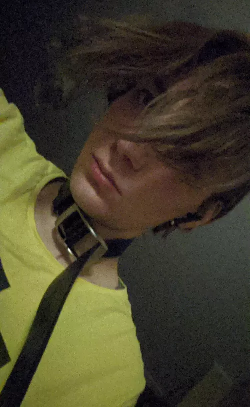 Are boys on leashes cute?