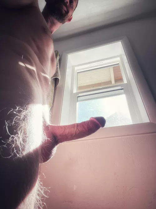 Do you look into windows on your walk?