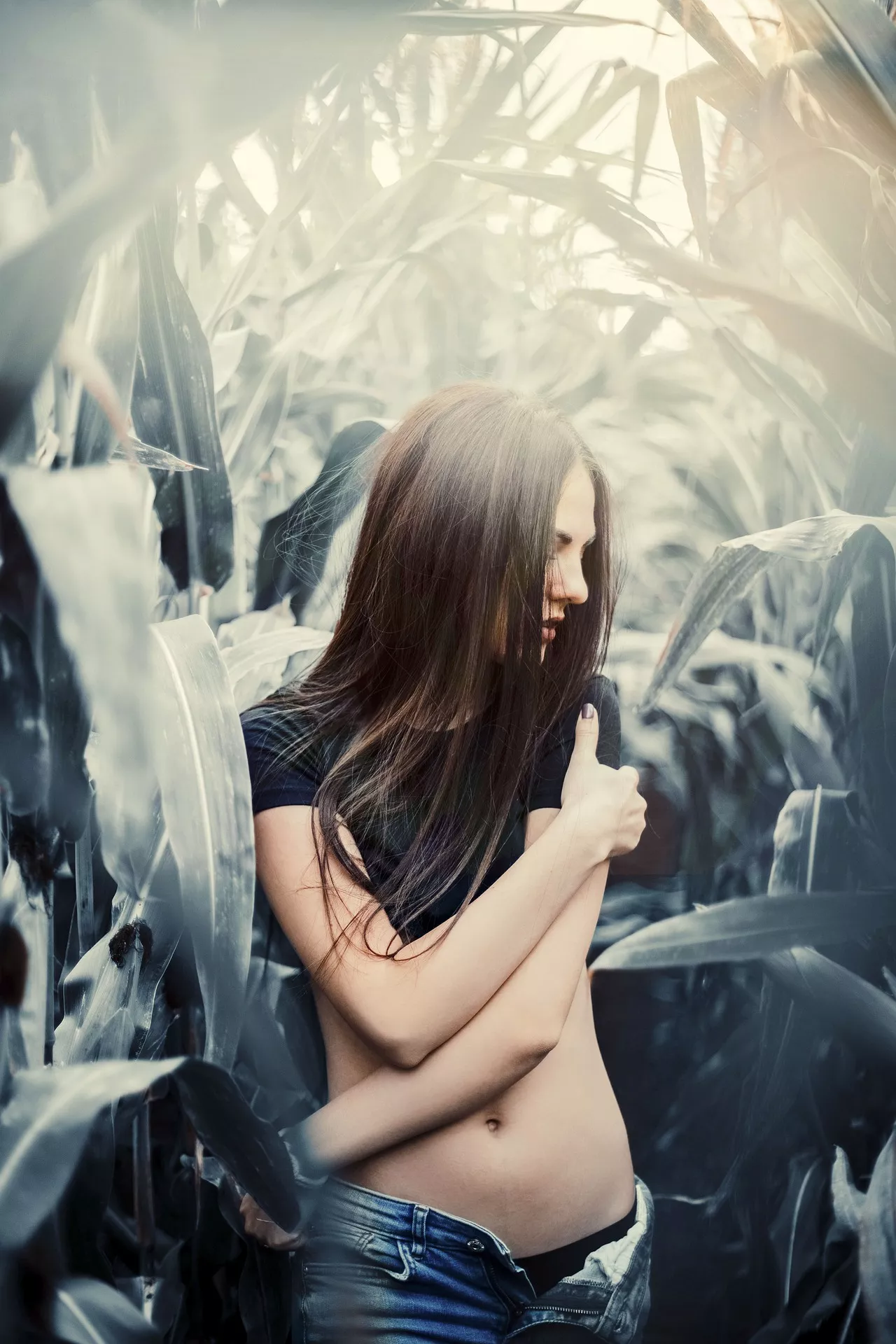 Field of Dreams by Ratke