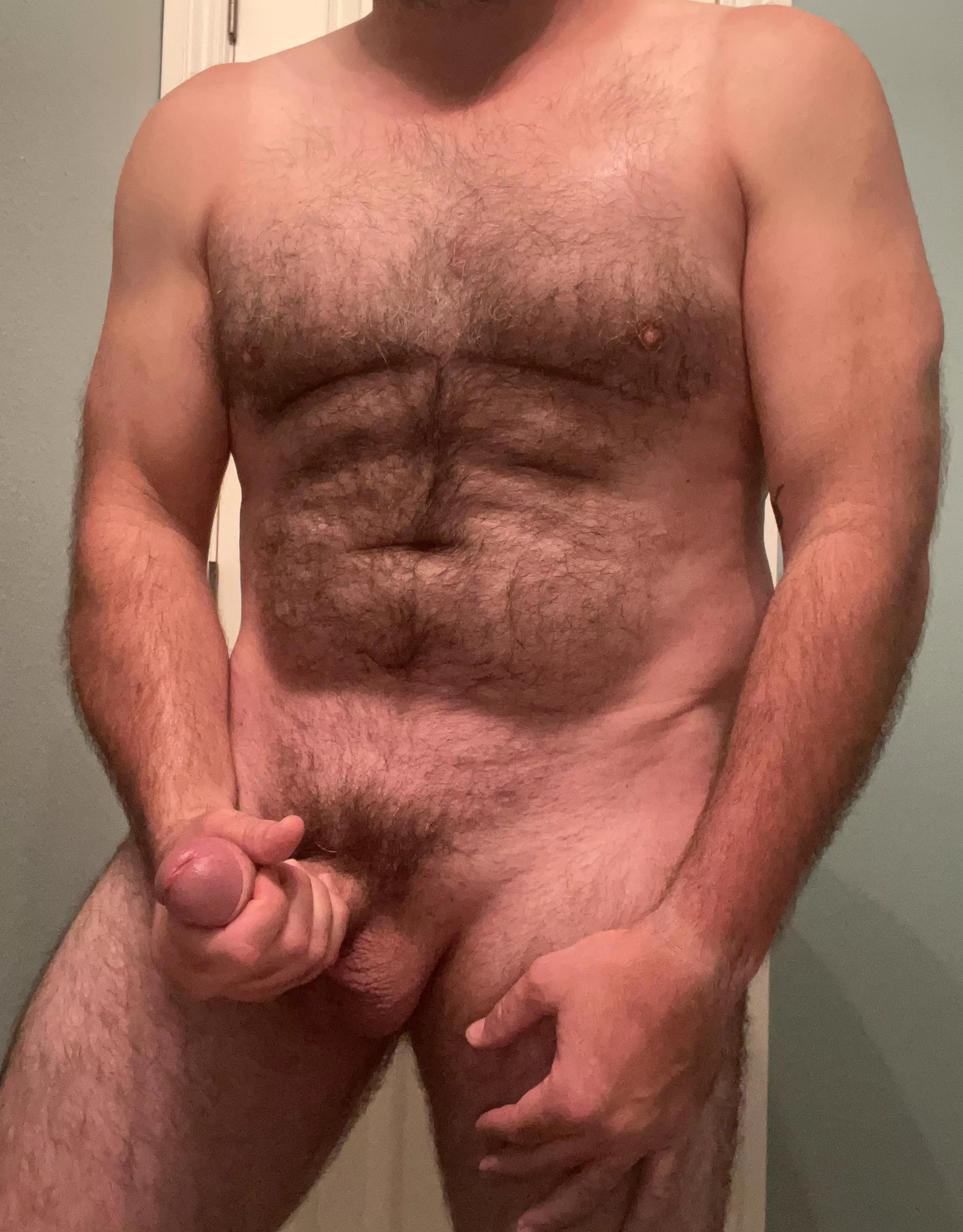 Have a beary good one, y’all