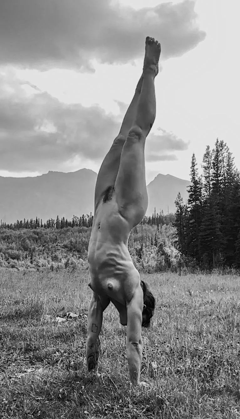 How about those serratus muscles?