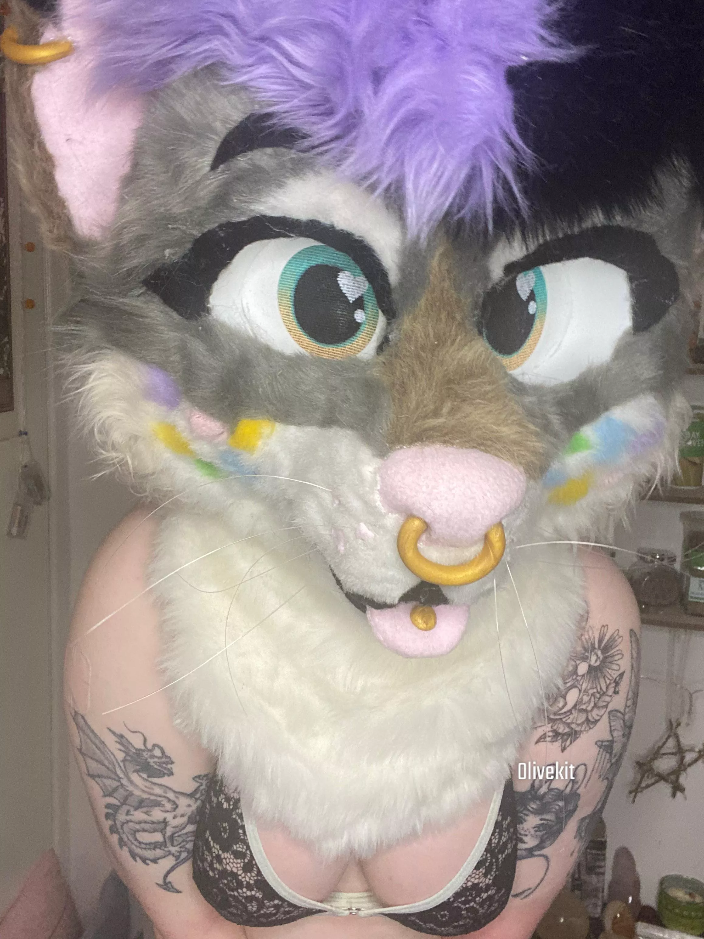 How can this kitty please you?~