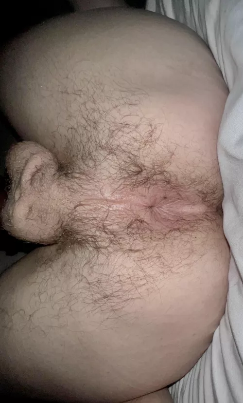 I want to feel your mustache on my taint (M26)