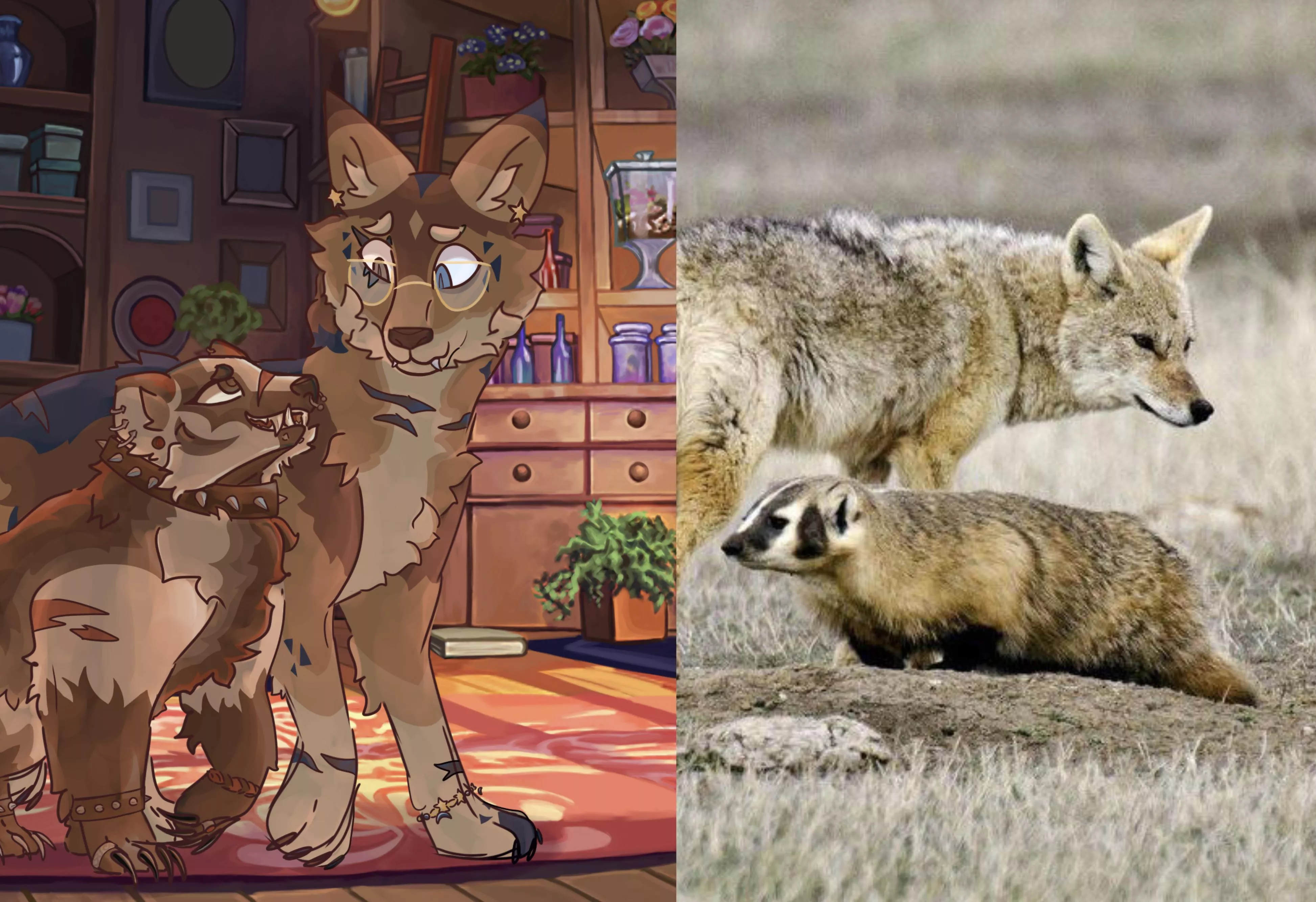 My boyfriends sona is a badger, and mines a coyote!