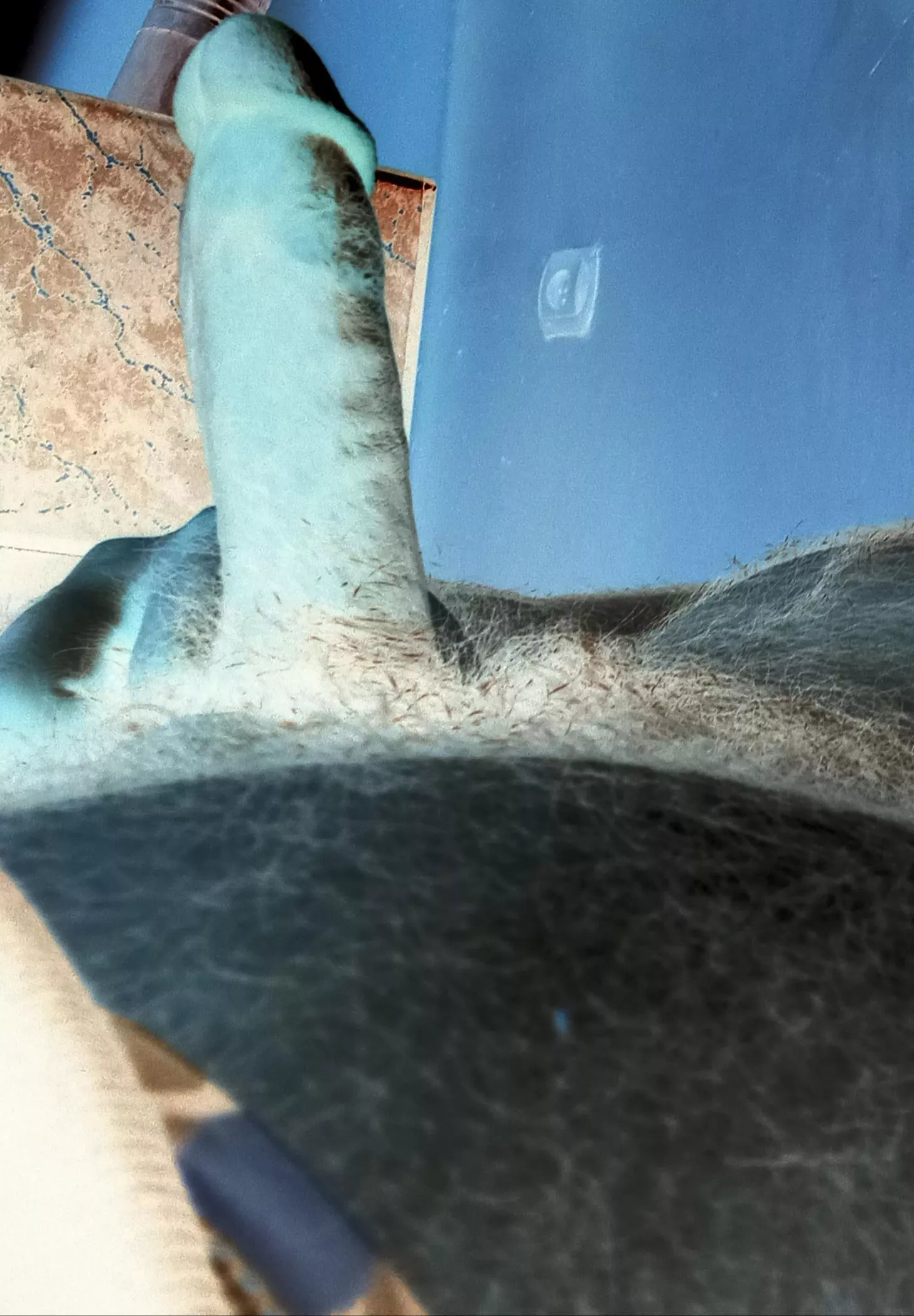 My dick is negative!!!