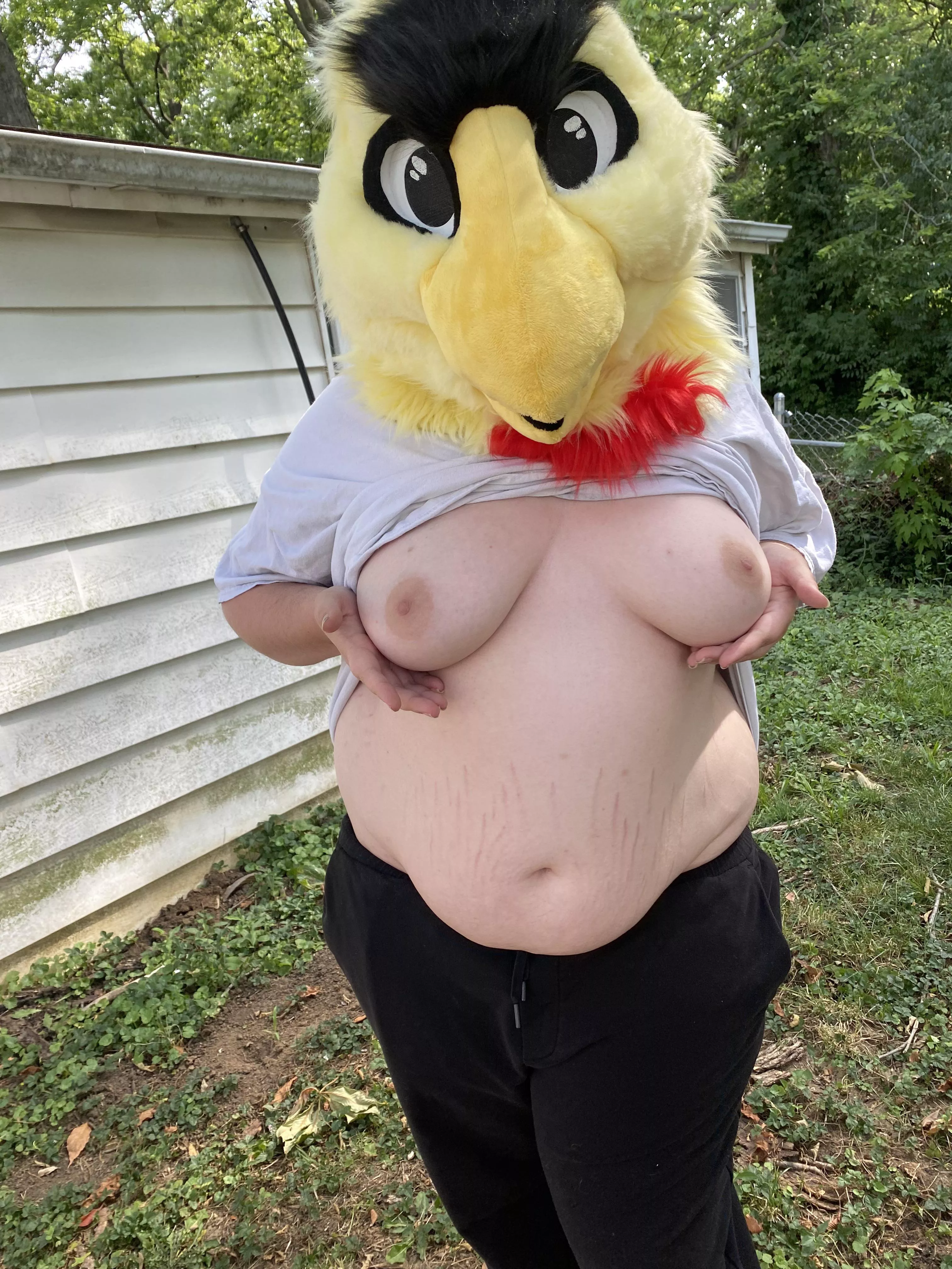 Should I return? If so what would you wanna see??