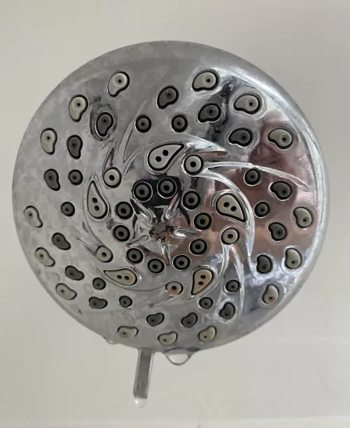 So now when I look at my shower head, I only see comedonicus nevus.