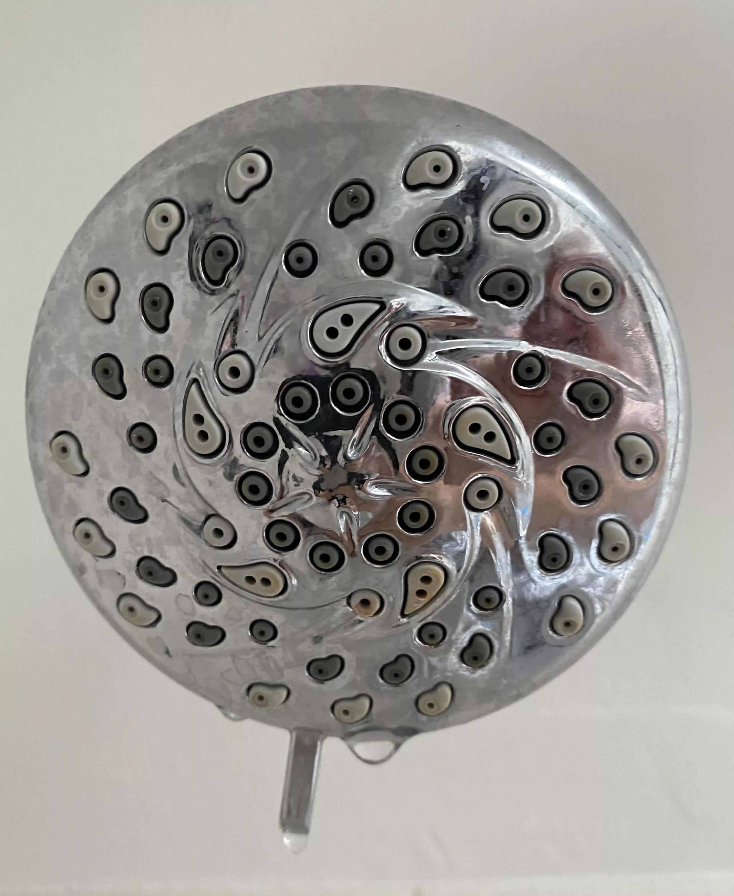 So now when I look at my shower head, I only see comedonicus nevus.