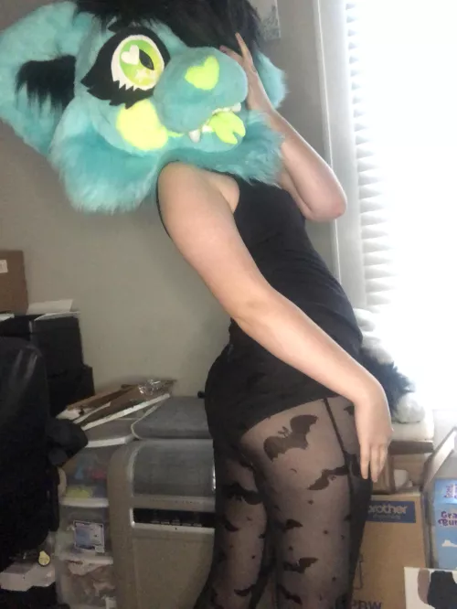 what’re you looking at, silly?