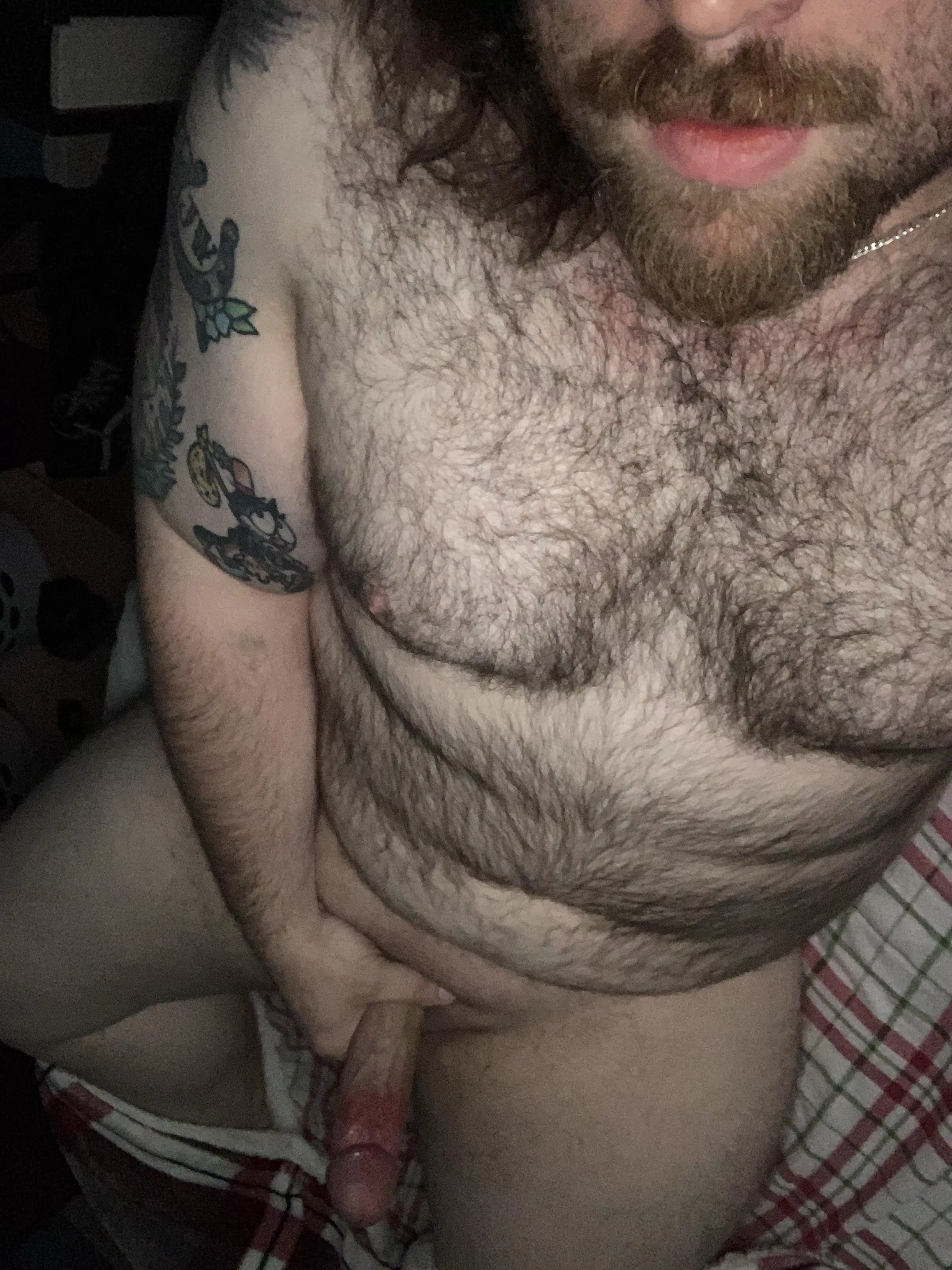 Would you sit on my face?