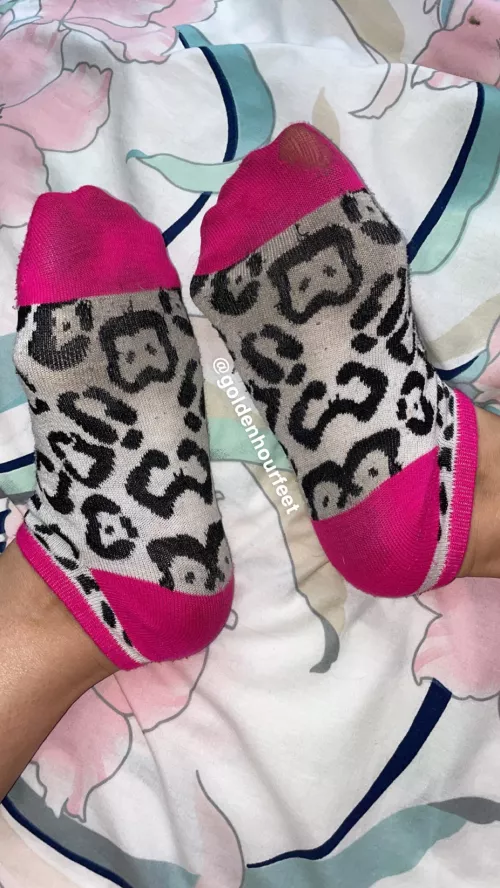 Are these not one of the best socks you’ve ever seen?🥰