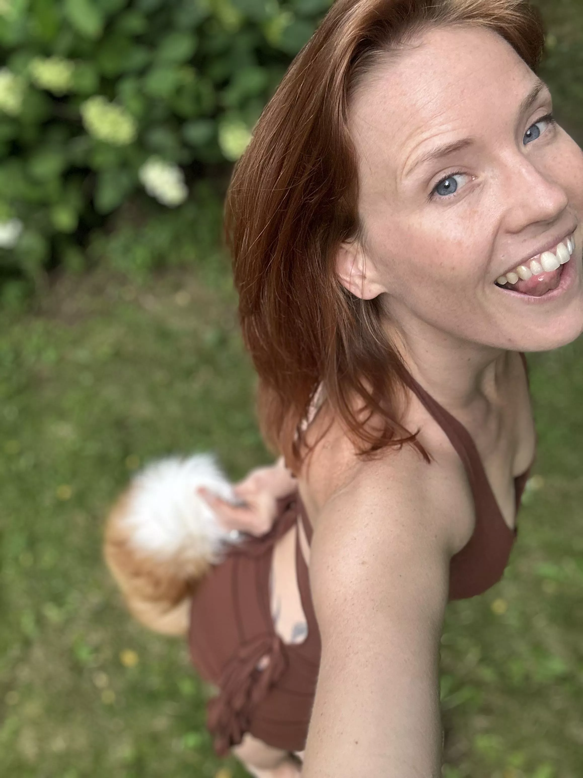 Come play with the fox in the garden 🦊