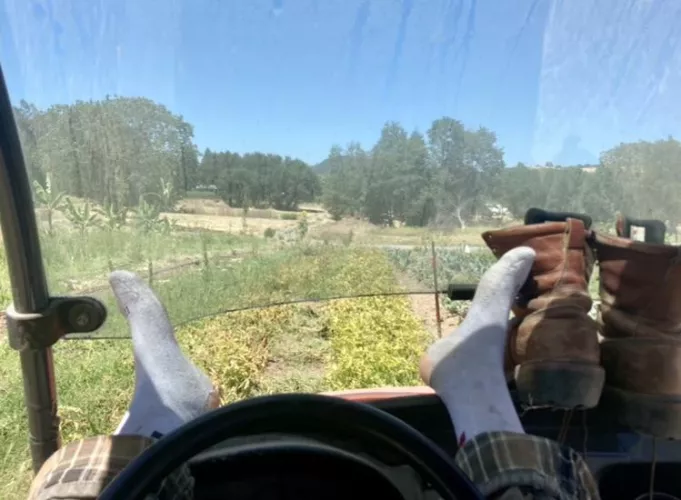 [selling] These socks have been put to good use over the years of farming 😝 worked holes in the heels. Hot days all cooped up in boots🥵😷 Would be a shame if no one got to love them 😘