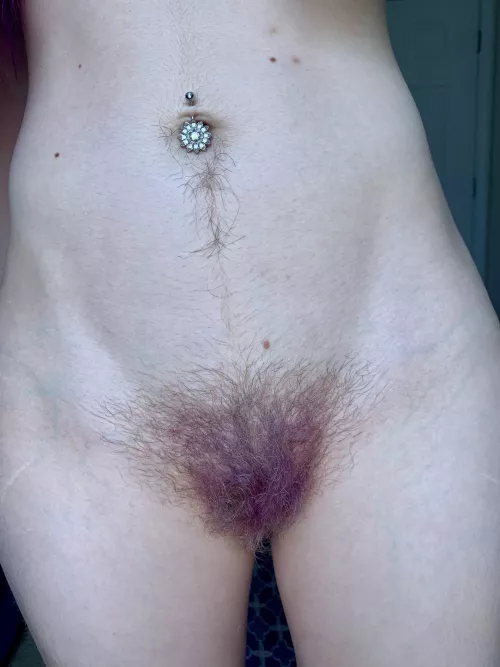 A lavender bush tastes better 🪻