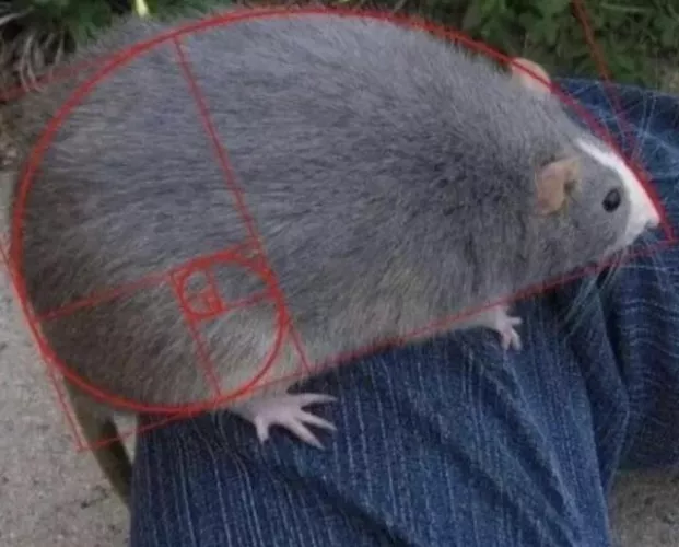 [Can we not allow AI? It’s really bad to see it get more and more present while it is basically a stealing artist machine :/]