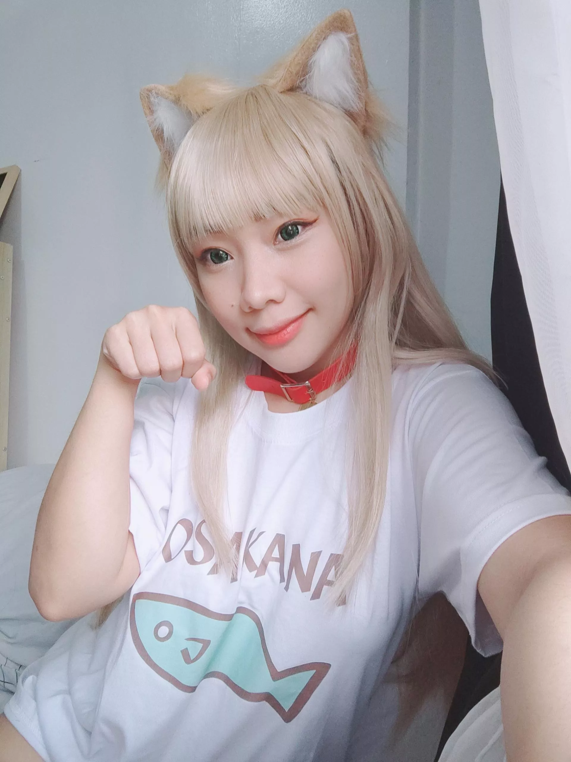 Can you teach this neko on how to behave?