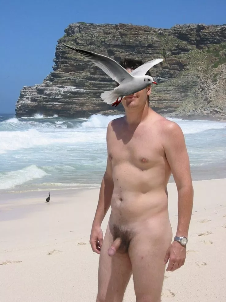 Cape Point, Cape Town, South Africa. Not really a nudist beach apart from being deserted when my wife and I got there.