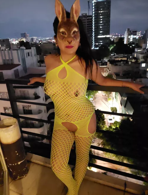 Enjoy the view [image]