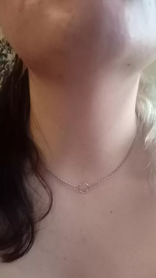 freshly collared boi ❤️❤️