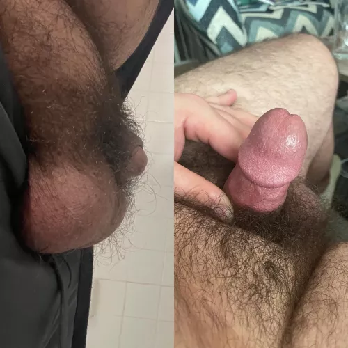 I need your vote in the replies — would you consider my dick a “grower” or a “shower”?