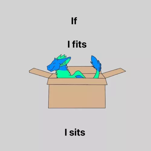If I fits I sits