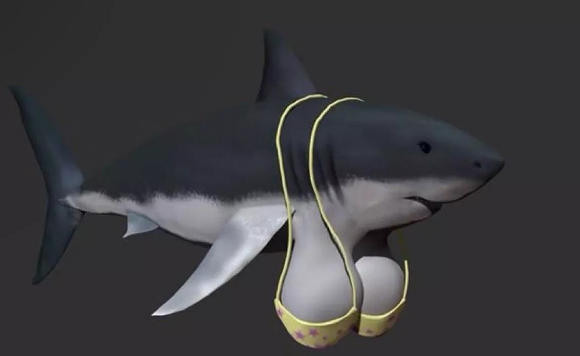 Ladies and gentlemen, I give you… shark tits