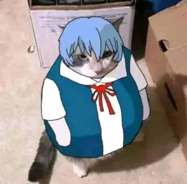 Rei Ayanami is feeling a little under the weather