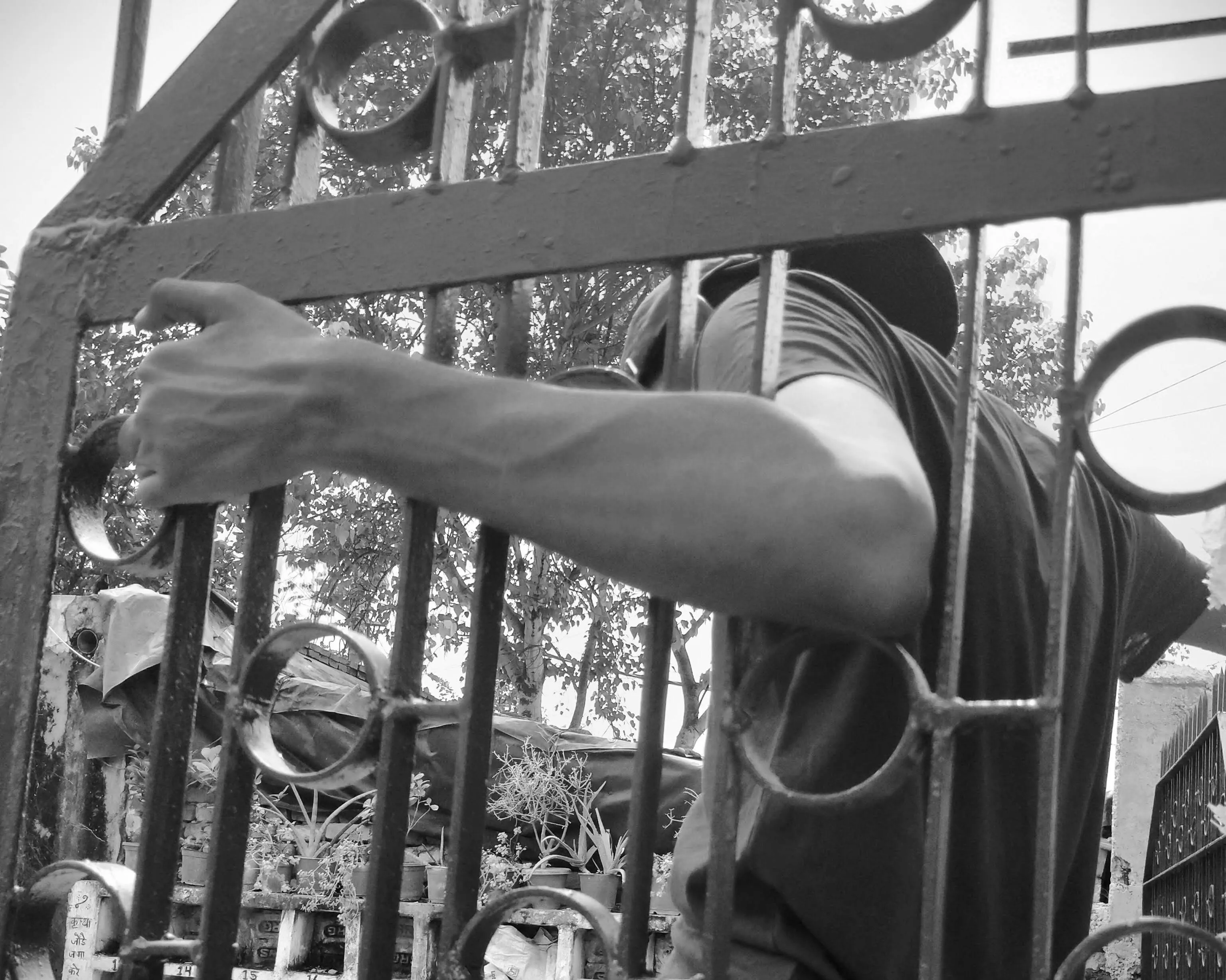 Vascular cuz I'm skinny