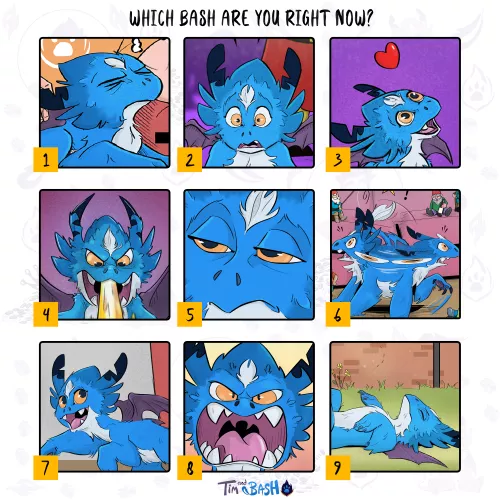 Which Bash are you right now?