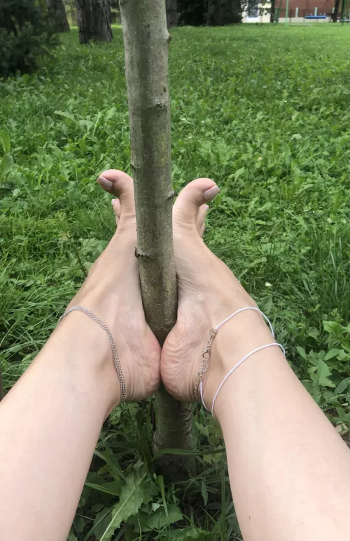 Whoops...good job Alba’s