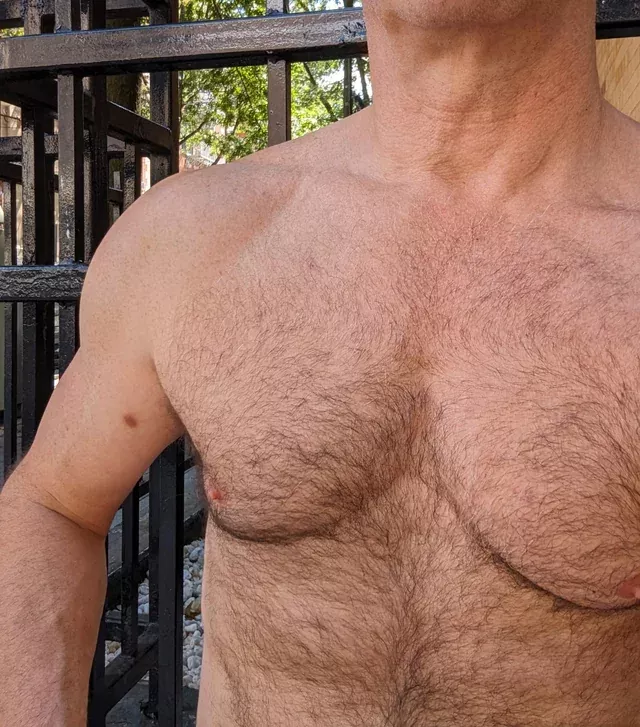 Airing out the hair on a beautiful afternoon