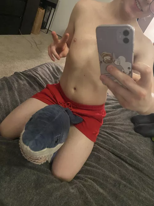 Does anyone like sharks?