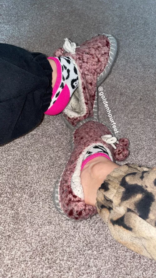 Don’t these look like they smell delicious?😜