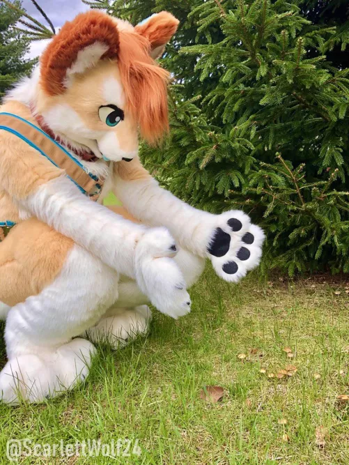 Happy Fursuit Friday! 🍄🐾