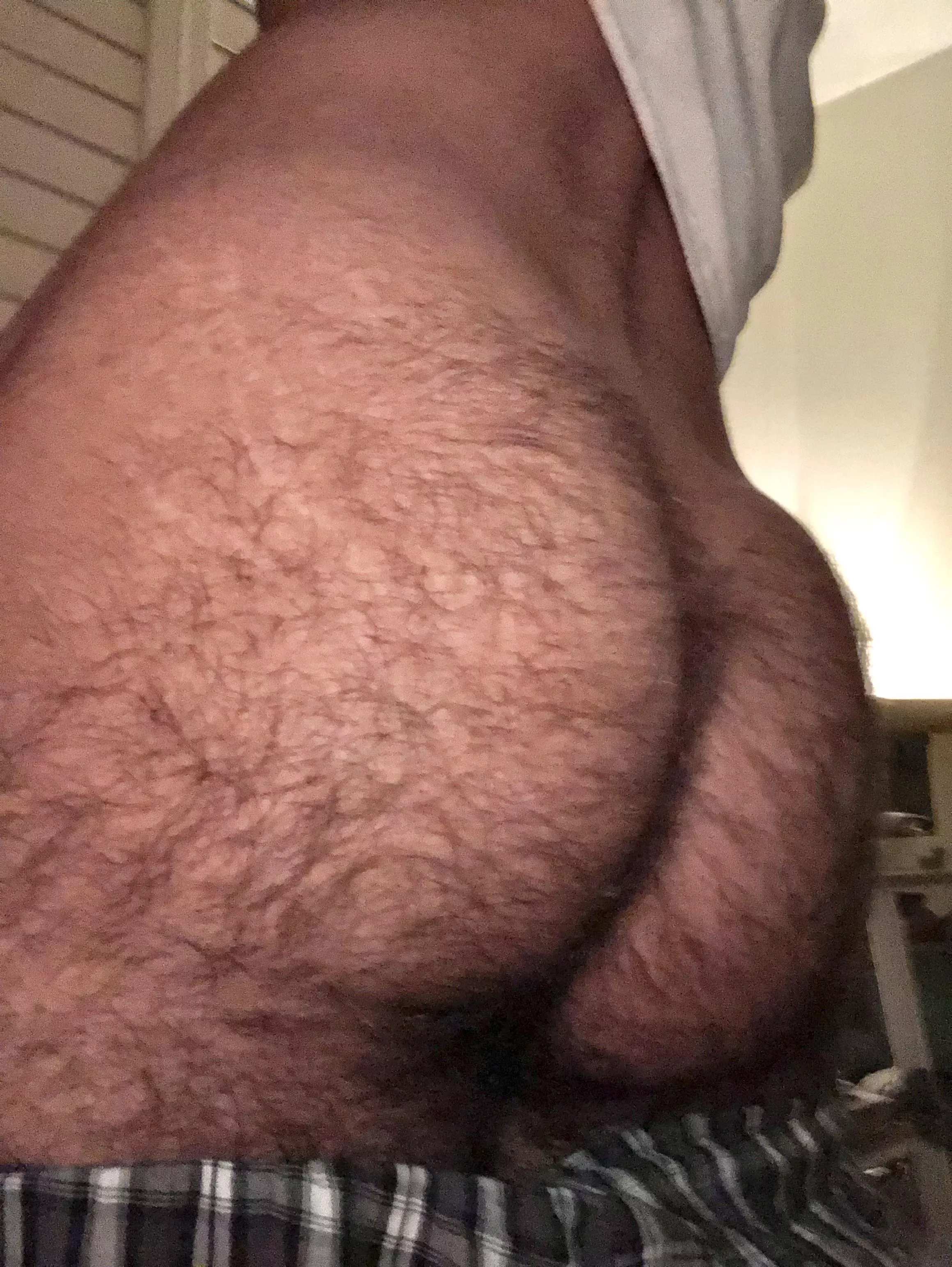 How are my assets boss?