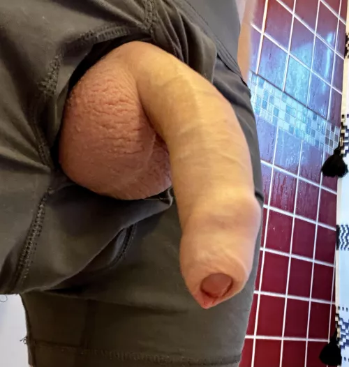 I love showing off my covered cock on this sub