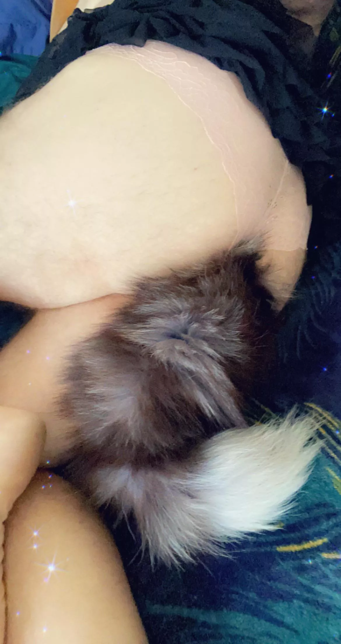 Less work, more kitten time