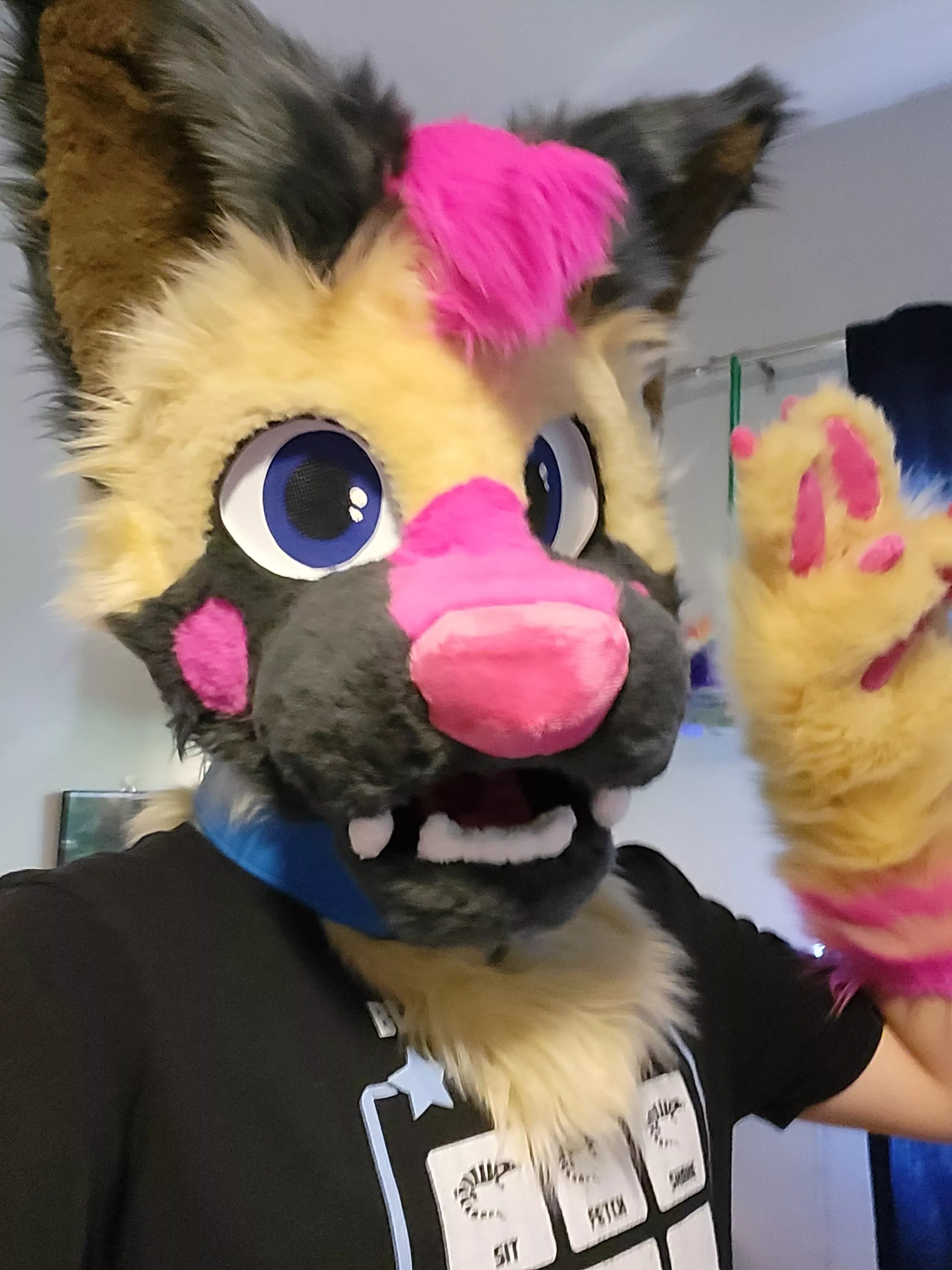 Never posted myself in suit here, so here's Fluxx! I hope everyone's having a great day / night :)