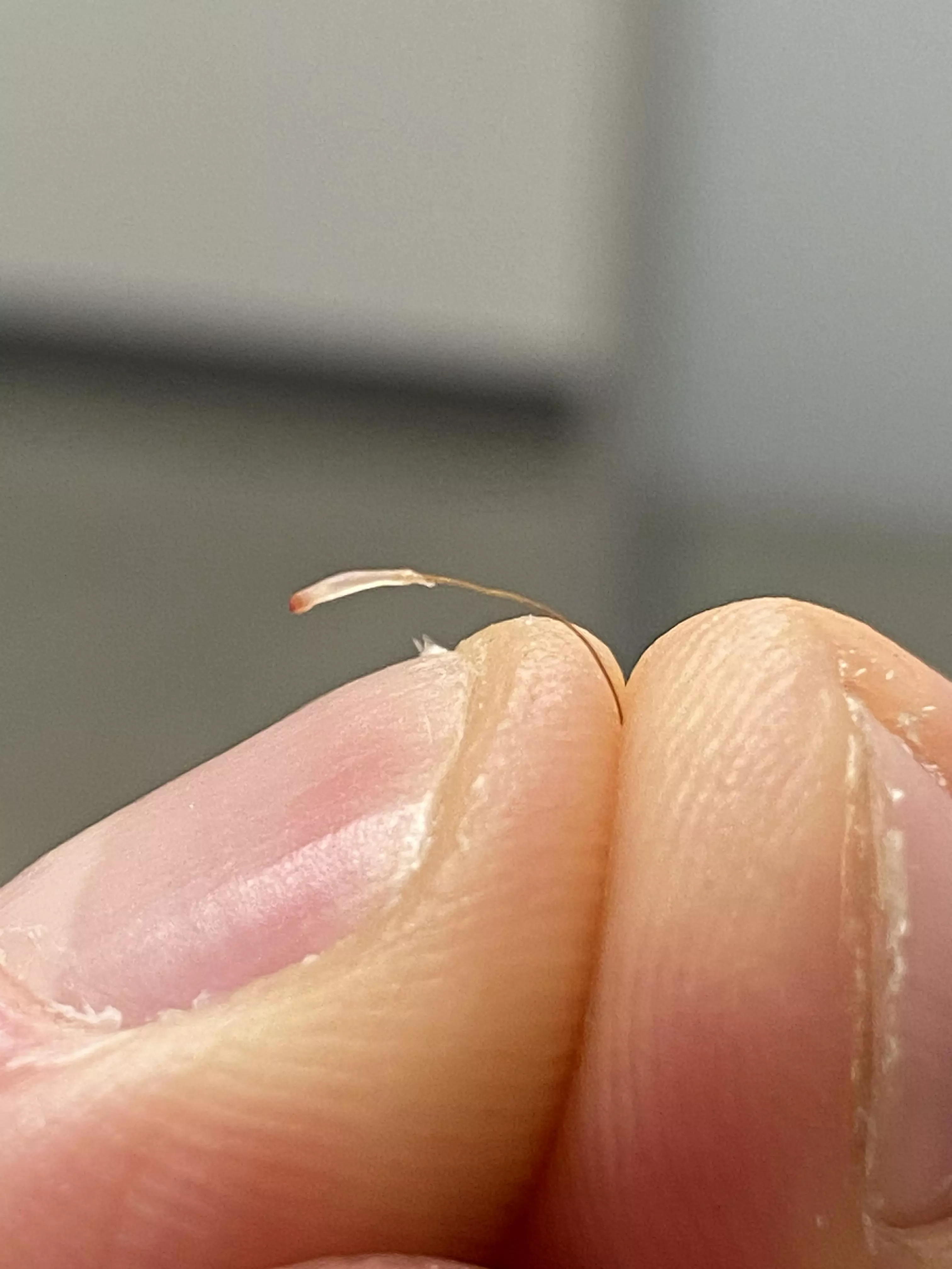 These are my favorite